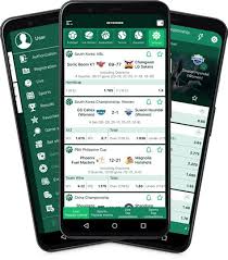 How to Successfully Navigate BetWinner Inscription